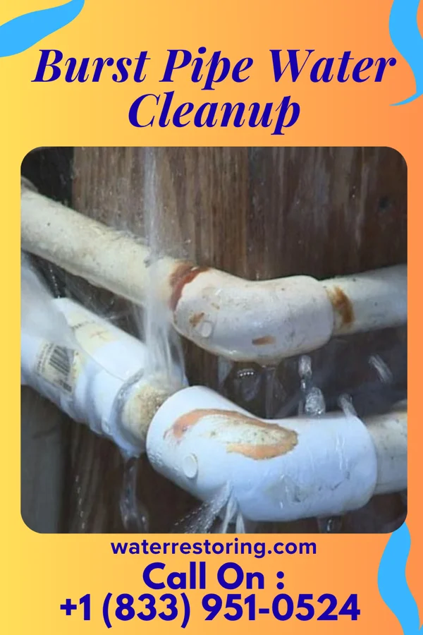 Burst Pipe Water Cleanup in Cicero, IL