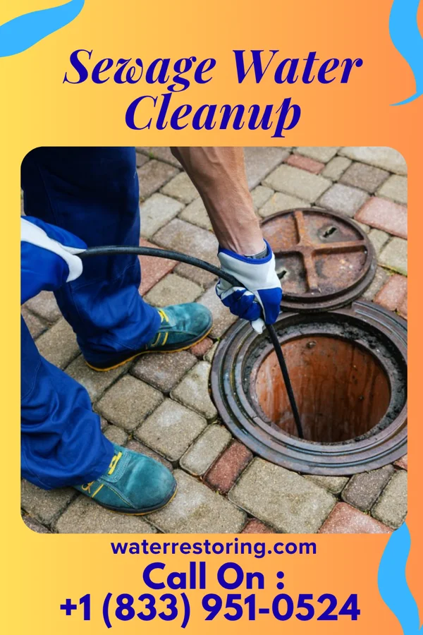 Sewage Water Cleanup in Cicero, IL